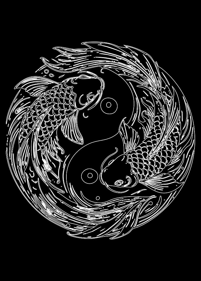 Yin Yang Koi Fish Illustration
