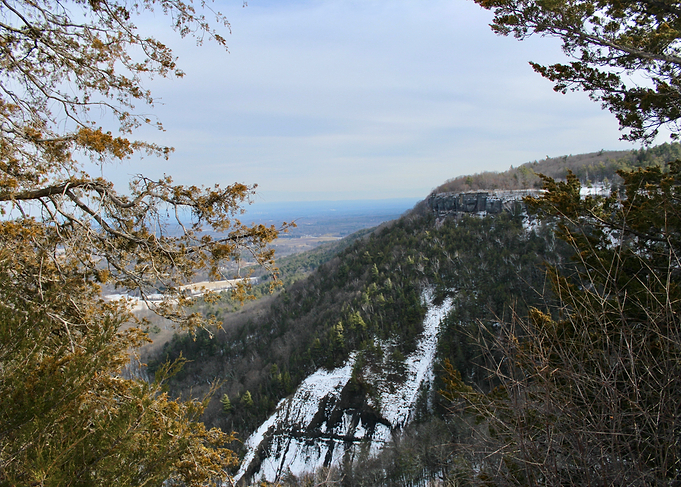 Enveloped by Nature