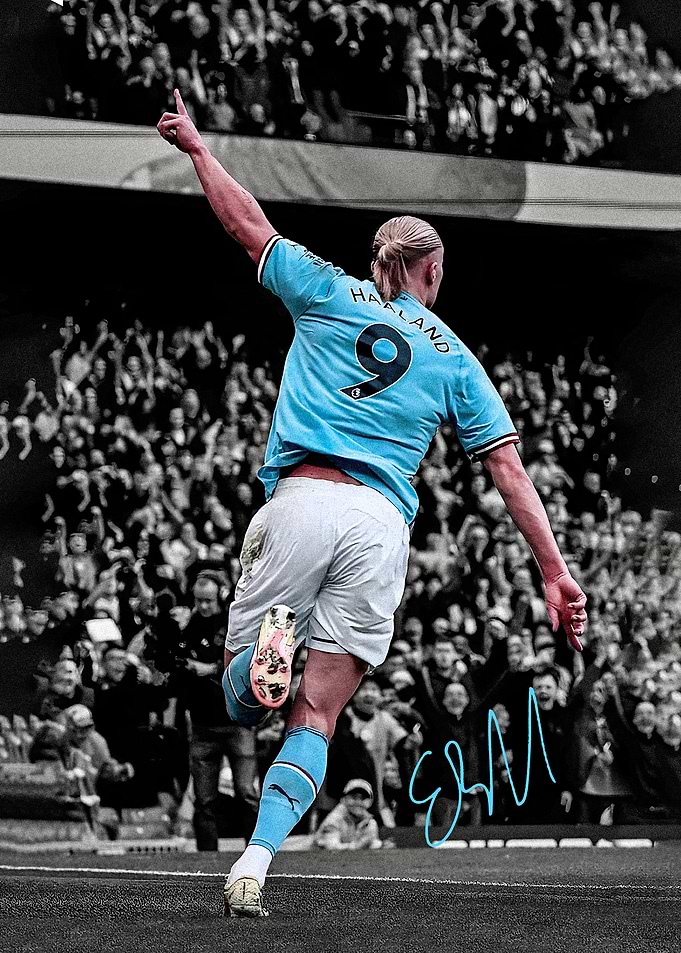 Erling Haaland Celebration