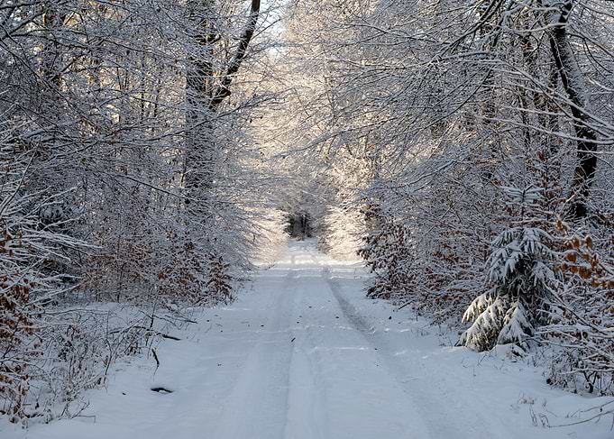Winter wonderland