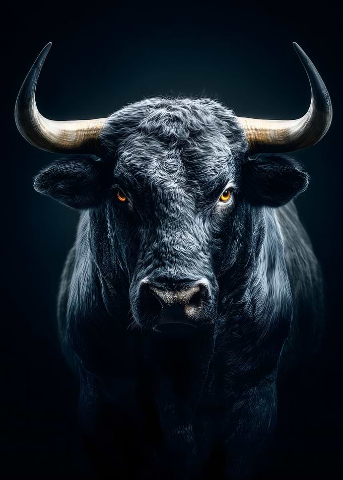Dramatic Portrait of a Black Bull