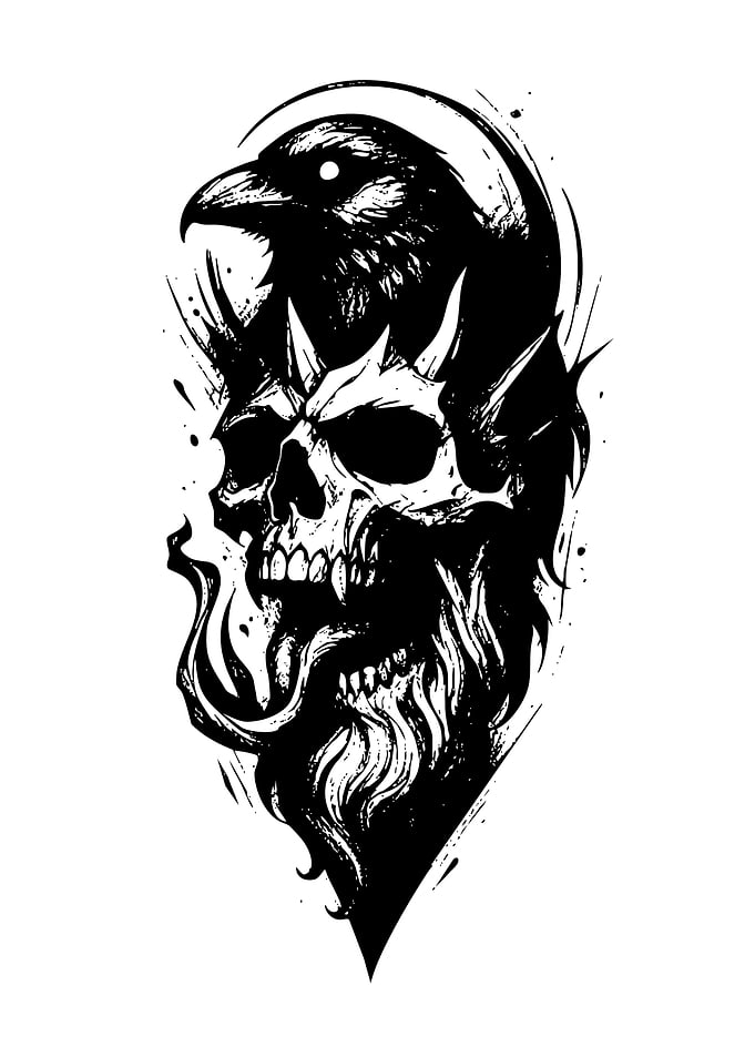 Raven and Skull Black Ink Illustration
