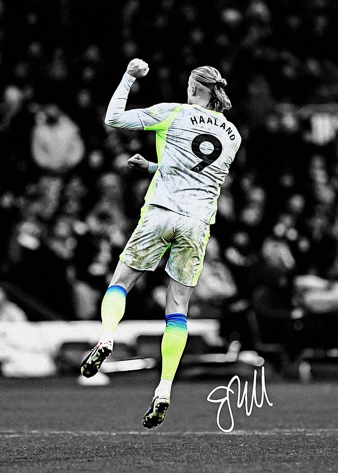 Erling Goal Celebration