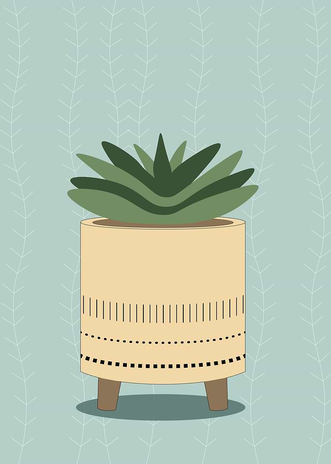 Potted Succulent Plant Illustration