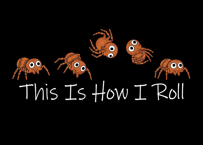 This Is How I Roll Cute Spider