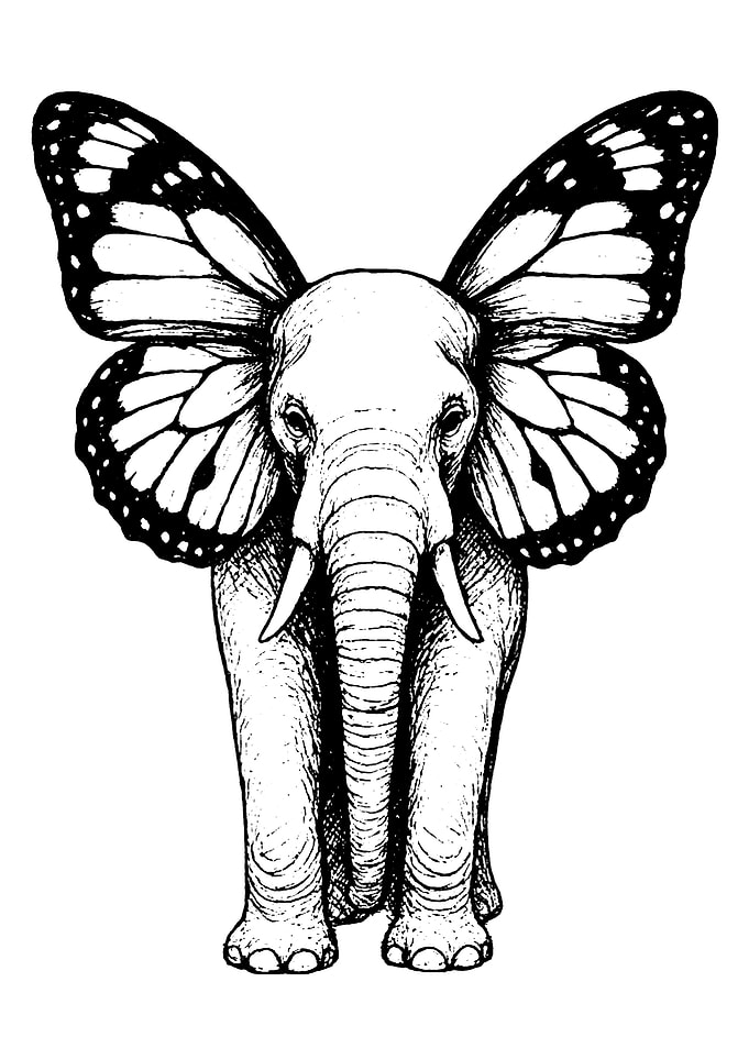 Elephant with Butterfly Wings Illustration