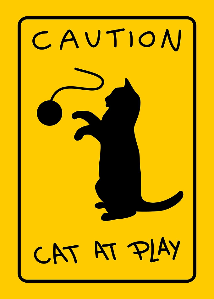 Cat at Play Sign