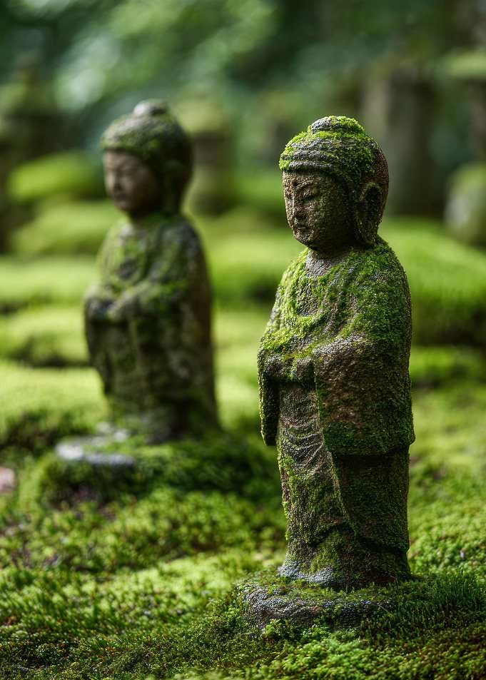Moss-covered Jizo Statues in a Garden