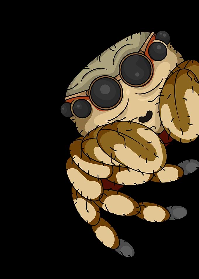 Cartoon Tarantula Spider With Sunglasses