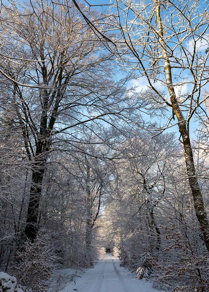 Wintertime