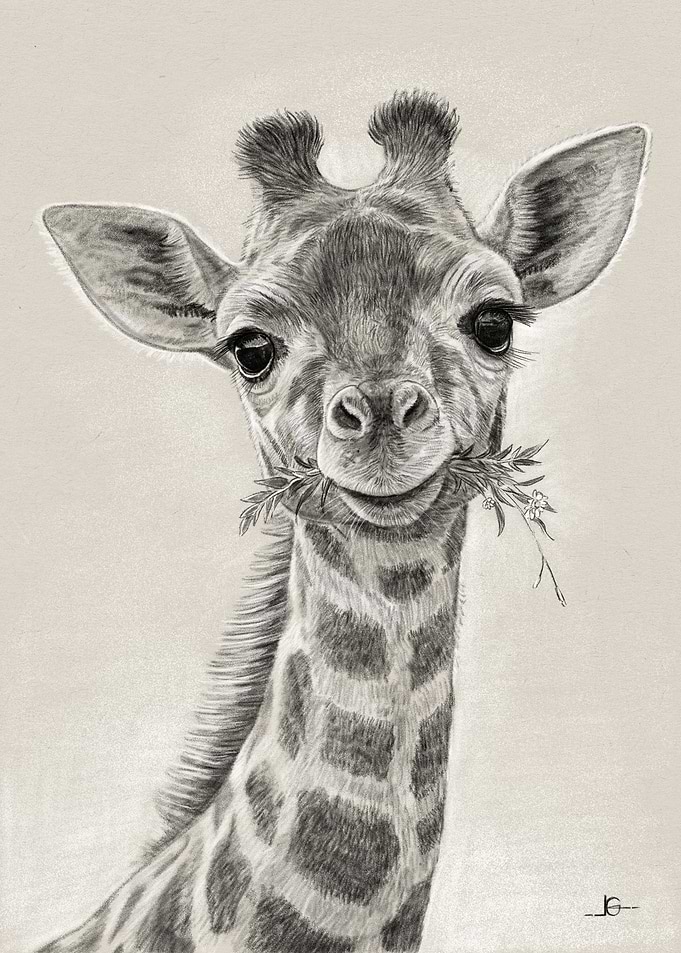 Giraffe Portrait with Flowers
