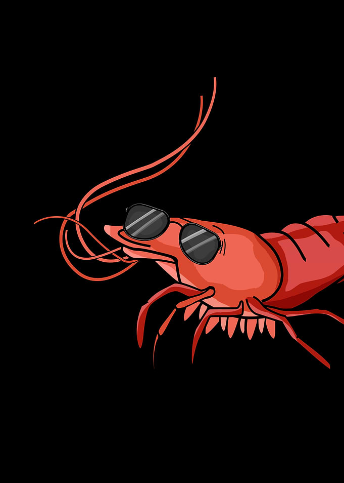 Cool Shrimp With Sunglasses