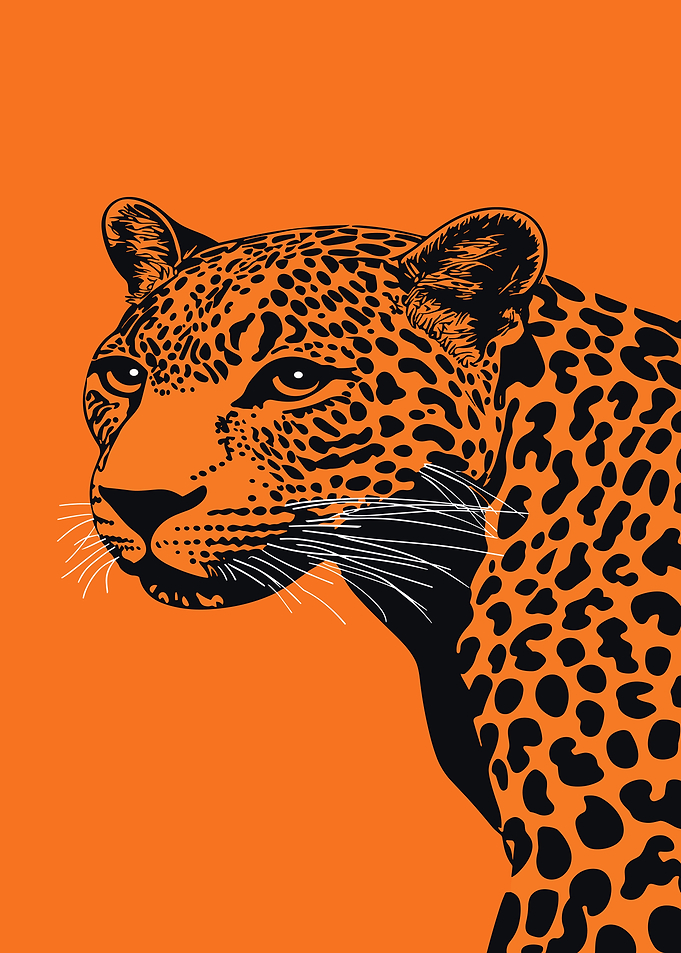 Leopard Portrait on Orange Background