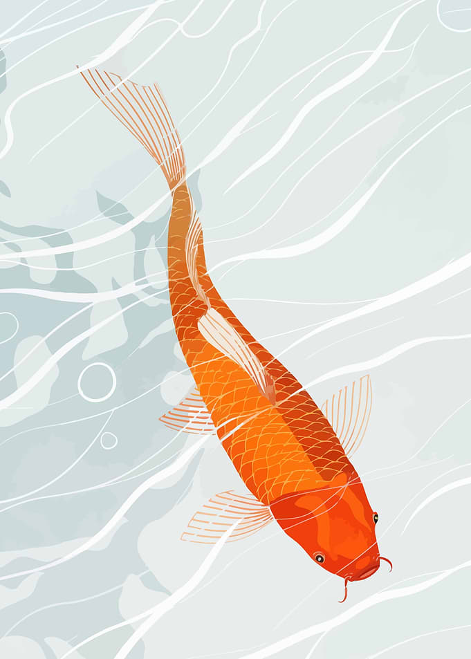 Orange Koi Fish in Water Illustration