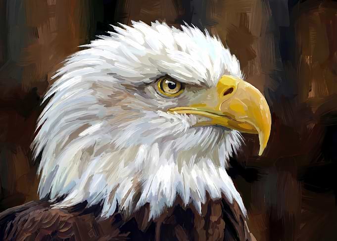 Bald Eagle Portrait Painting