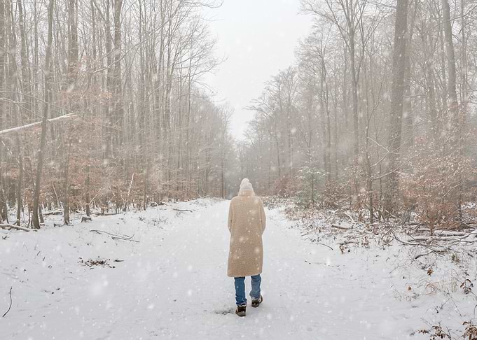 Winter walk in snowy forest