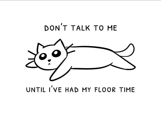 Don't Talk To Me Floor Time Cat