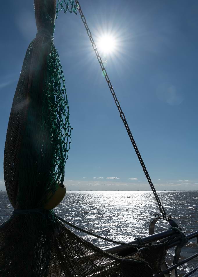 A day at sea