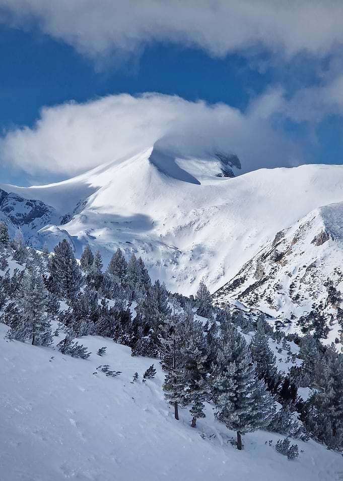 Snowy Mountain Peak with Pine Trees
