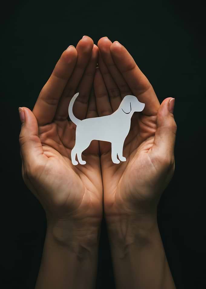 Hands holding a paper dog