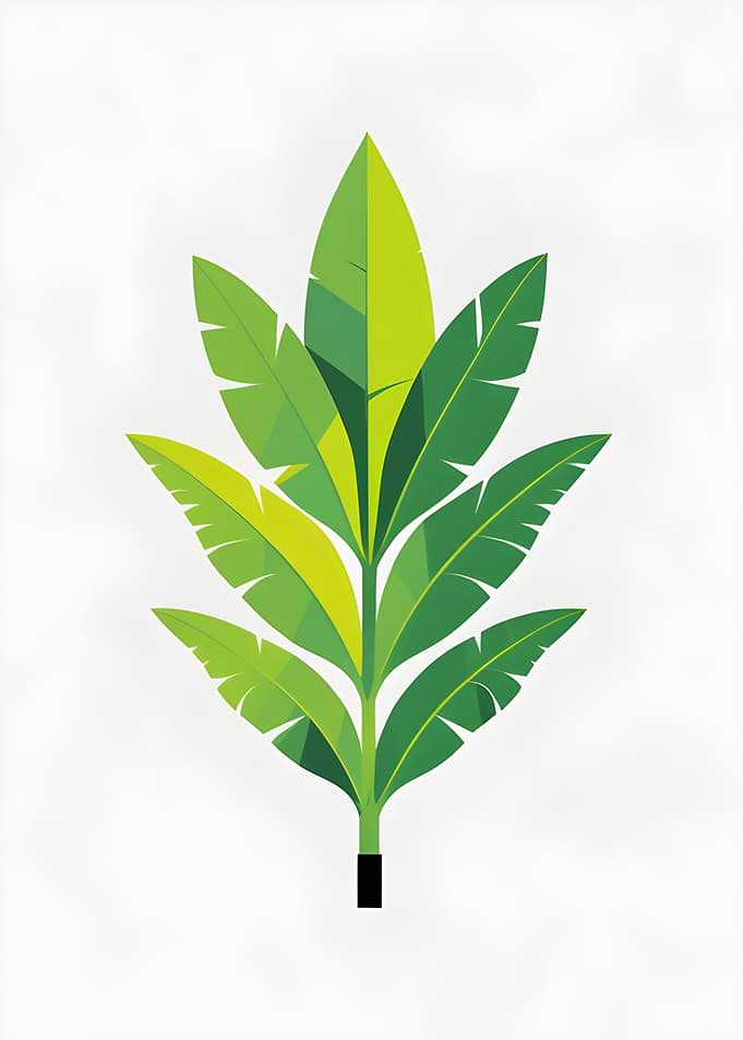 Stylized Green Leaf Illustration on White