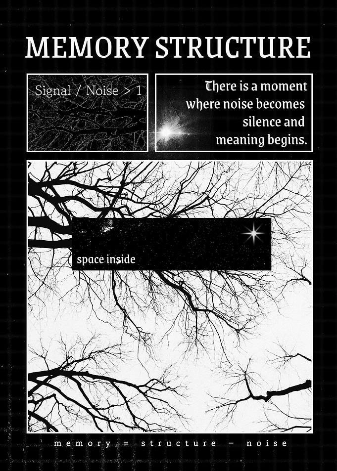 Memory Structure: Signal, Noise, and Meaning