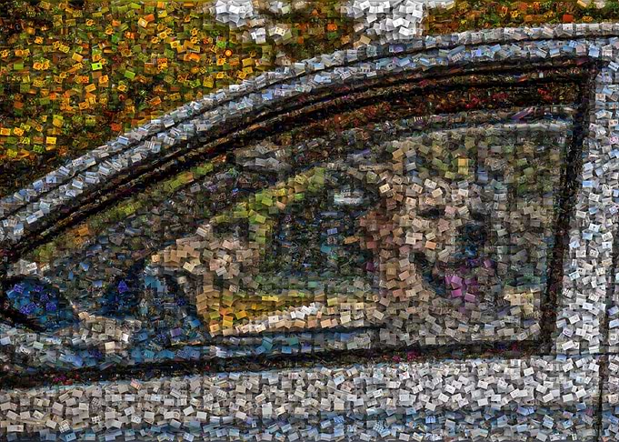 Freeform Mosaic of Control, Chaos, and a Dog