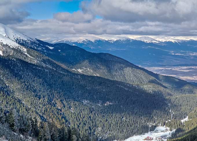 Winter Mountain Landscape with Forest