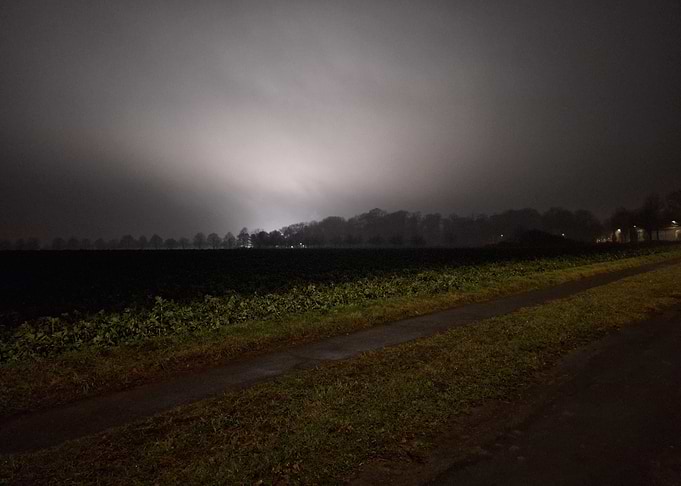Night Landscape with Fog and Trees