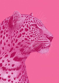 Pink Leopard Portrait