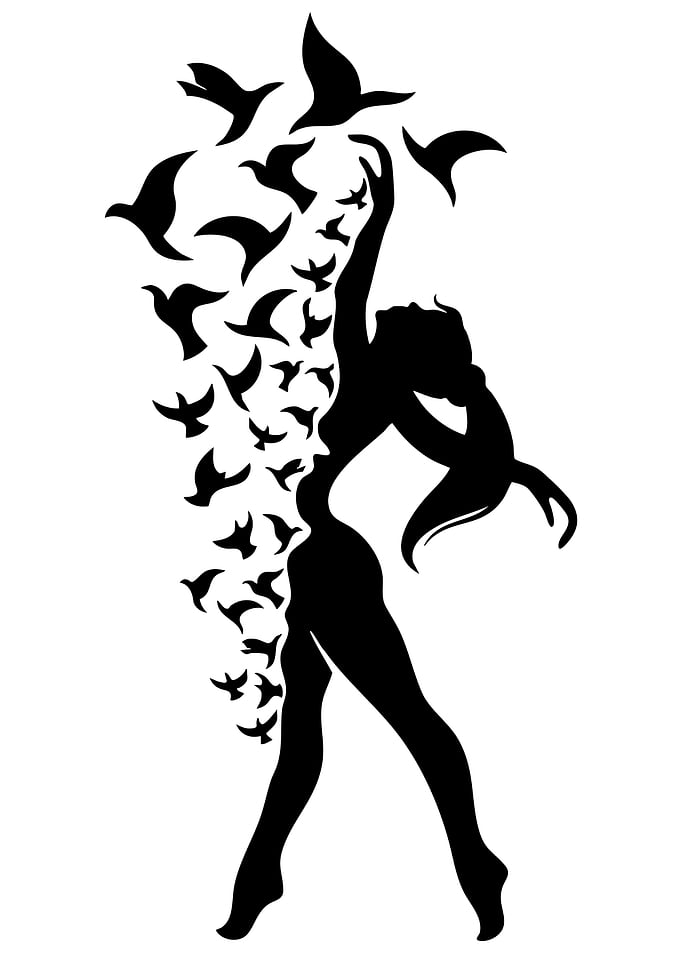 Silhouette of Woman with Birds