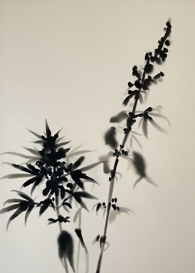 Ink Wash Painting of Plants