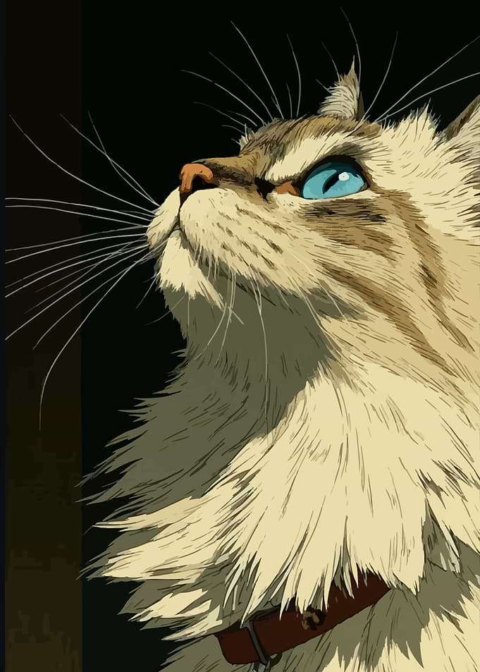 Cat Looking Upward
