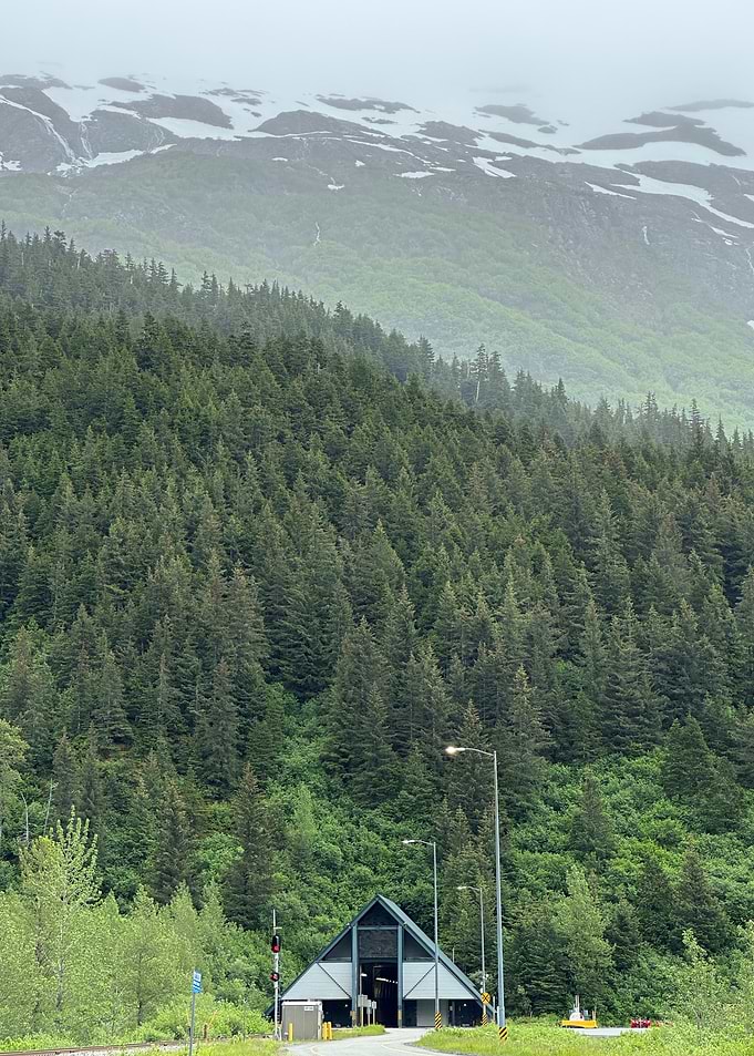 Alaska Landscape with Forest and Mountains