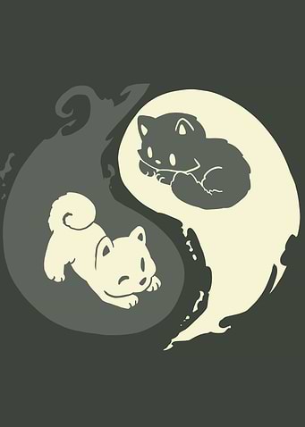 Yin Yang Cat and Dog