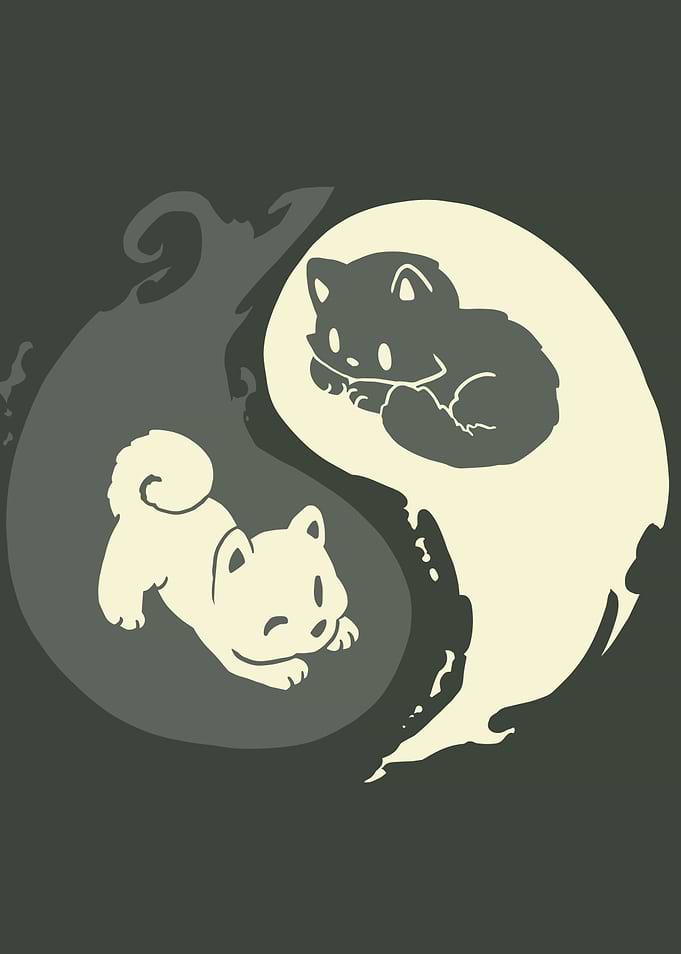 Yin Yang Cat and Dog