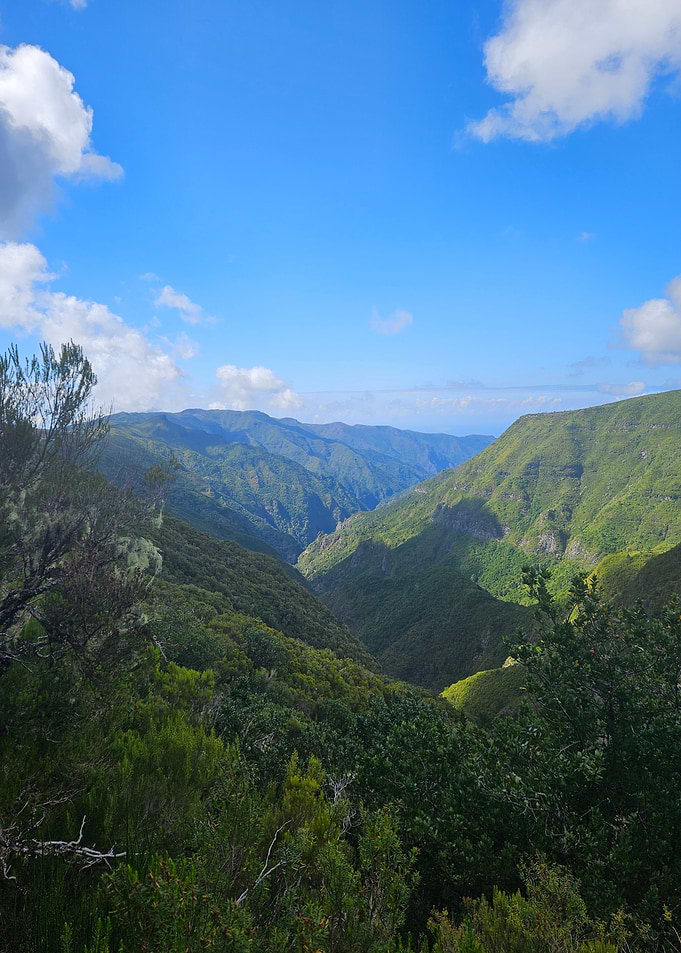 Endless Green Valleys of Madeira