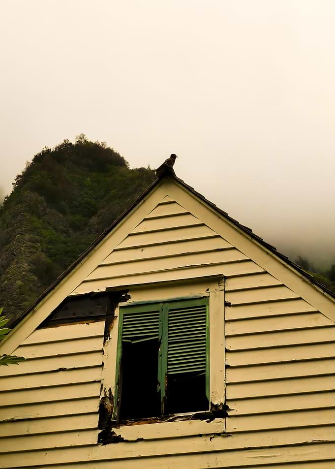 Dilapidated House with Bird on Roof