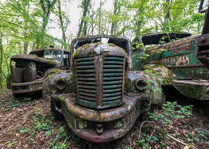 Abandoned Trucks in Forest
