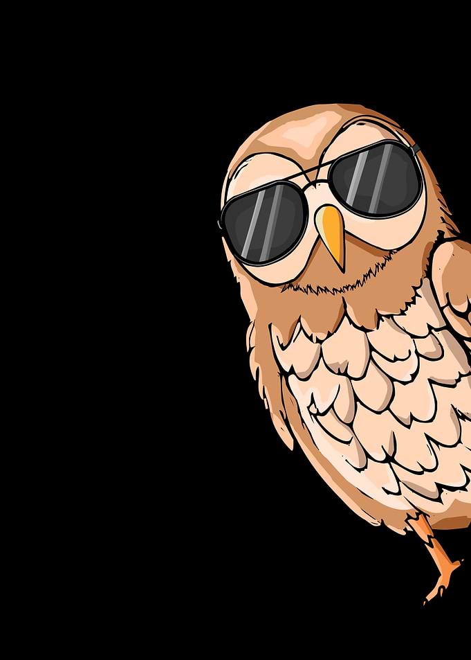 Barred Owl Lover Bird Barred Owl