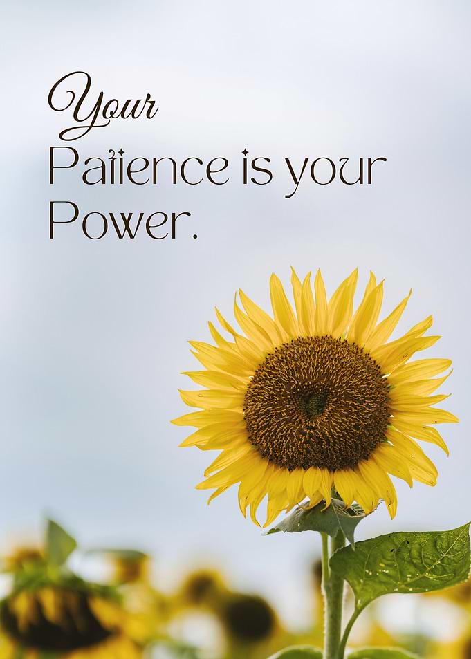 Sunflower with Inspirational Quote