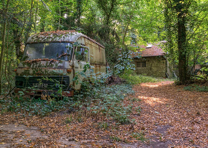Abandoned Van in Overgrown Forest Setting