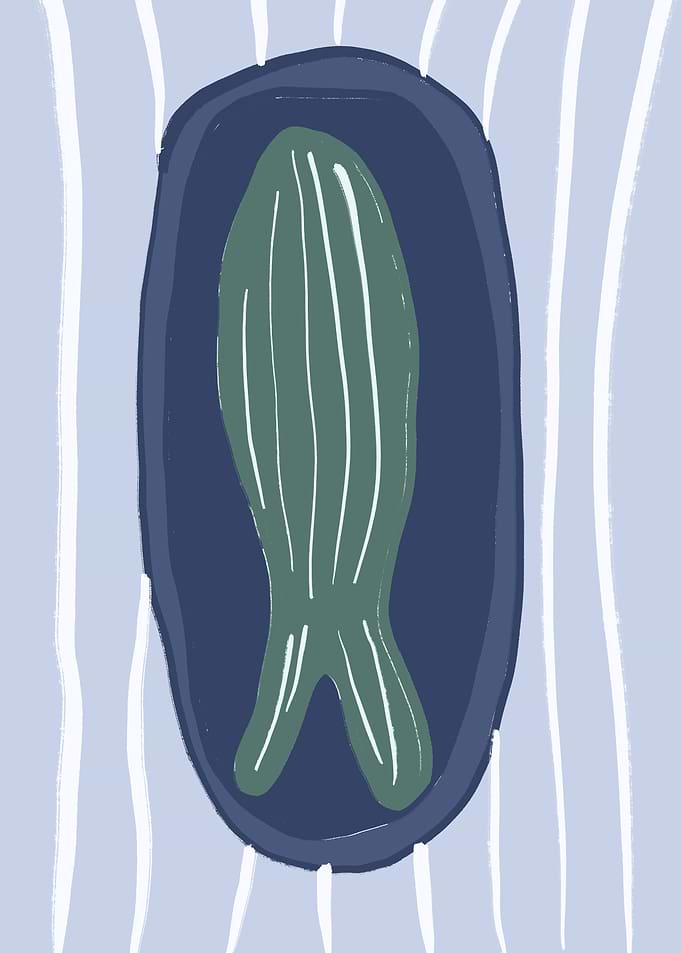 Abstract Fish Illustration