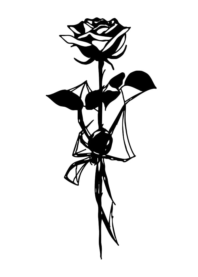 Black and White Rose with Bow