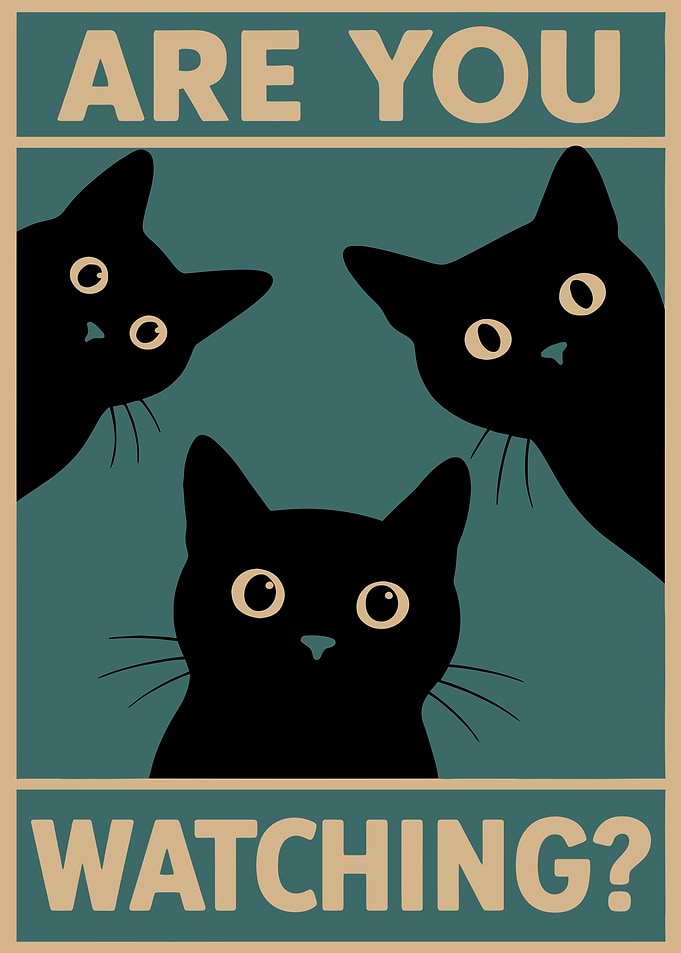 Are You Watching? Funny Cat oom Wall Art | Retro Pastel Vintage Black Cat Poster for Cat Lovers