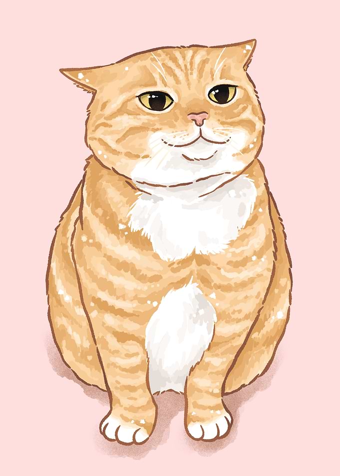 Calm Orange Cat