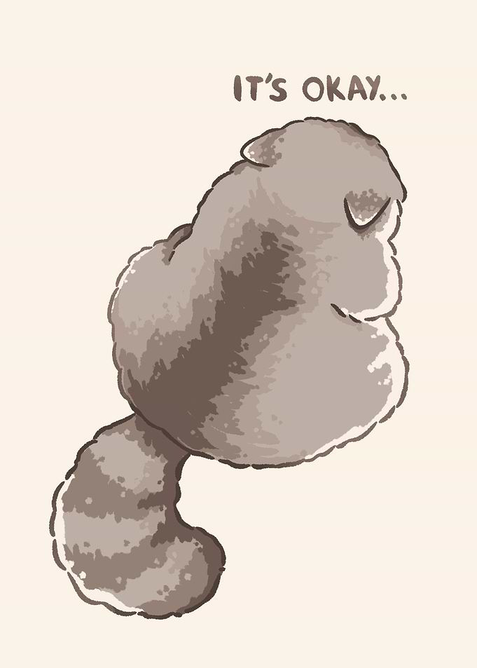 It's Okay - Sad Raccoon
