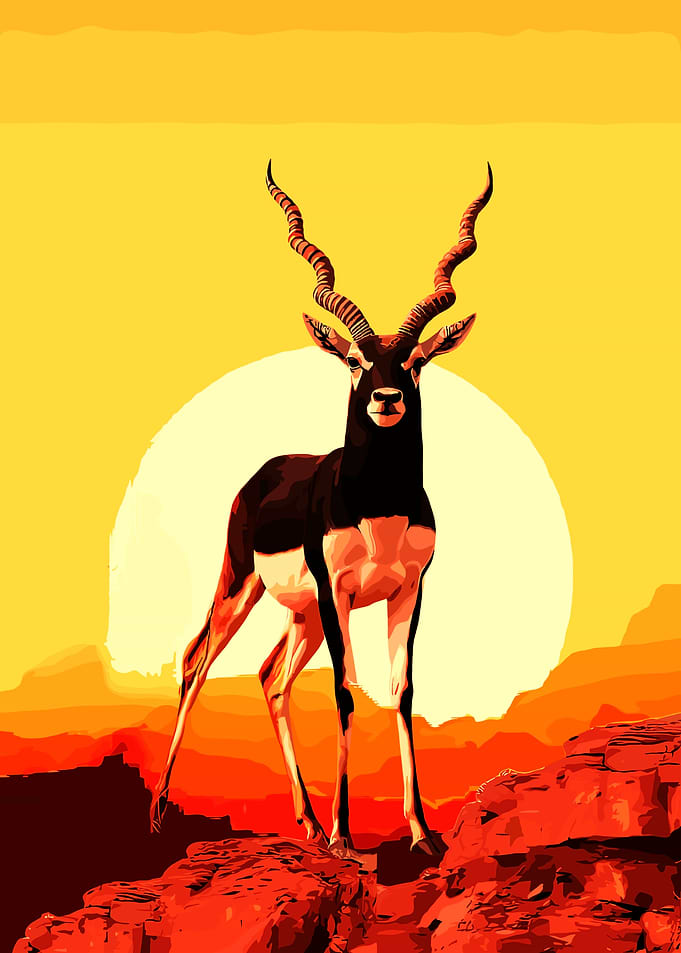 Blackbuck Antelope Silhouette Sunset Art