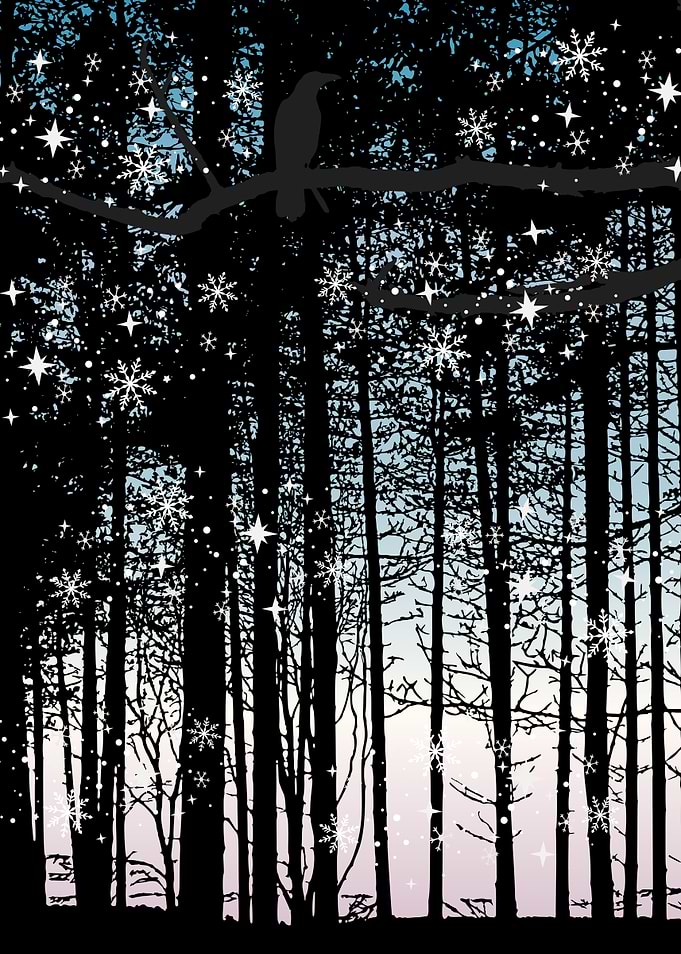 Raven in the Winter Forest