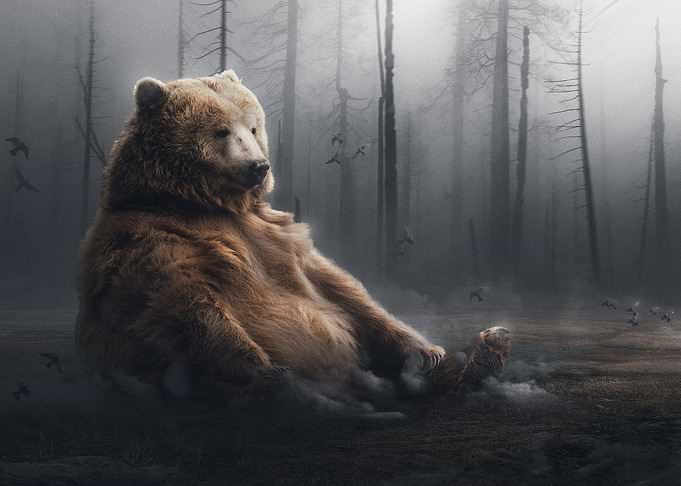 Silent Bear